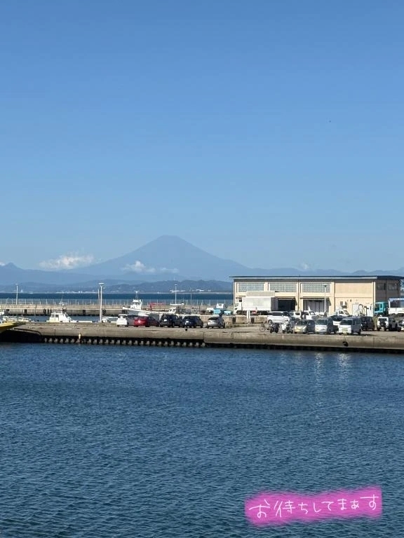 ぶるぶる｜写メ日記｜みか｜品川・五反田 一般デリヘル 熟女の風俗最終章 品川店