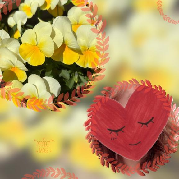 ゆのんだよ(o^^o)｜写メ日記｜ゆのん｜品川・五反田 一般デリヘル 熟女の風俗最終章 品川店