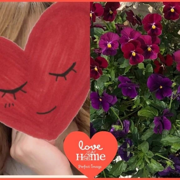 ありがとう(o^^o)