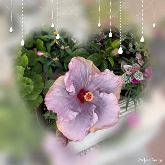 今月もありがとう(o^^o)