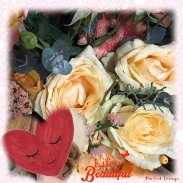 嬉しいなぁ(o^^o)