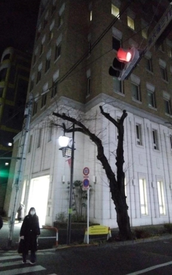 っらしゃ～い‼️｜写メ日記｜さいり｜品川・五反田 一般デリヘル 熟女の風俗最終章 品川店