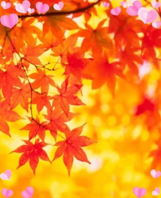 こんにちは｜写メ日記｜きずな｜品川・五反田 一般デリヘル 熟女の風俗最終章 品川店