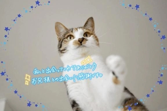 感謝｜写メ日記｜みずな｜品川・五反田 一般デリヘル 熟女の風俗最終章 品川店