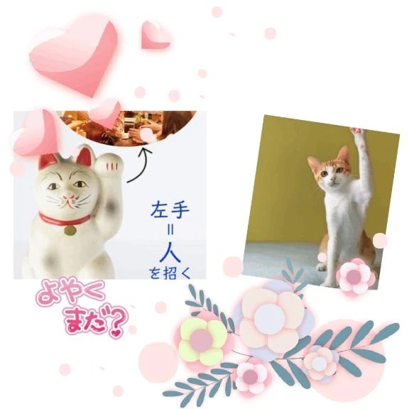 来い来い｜写メ日記｜みずな｜品川・五反田 一般デリヘル 熟女の風俗最終章 品川店