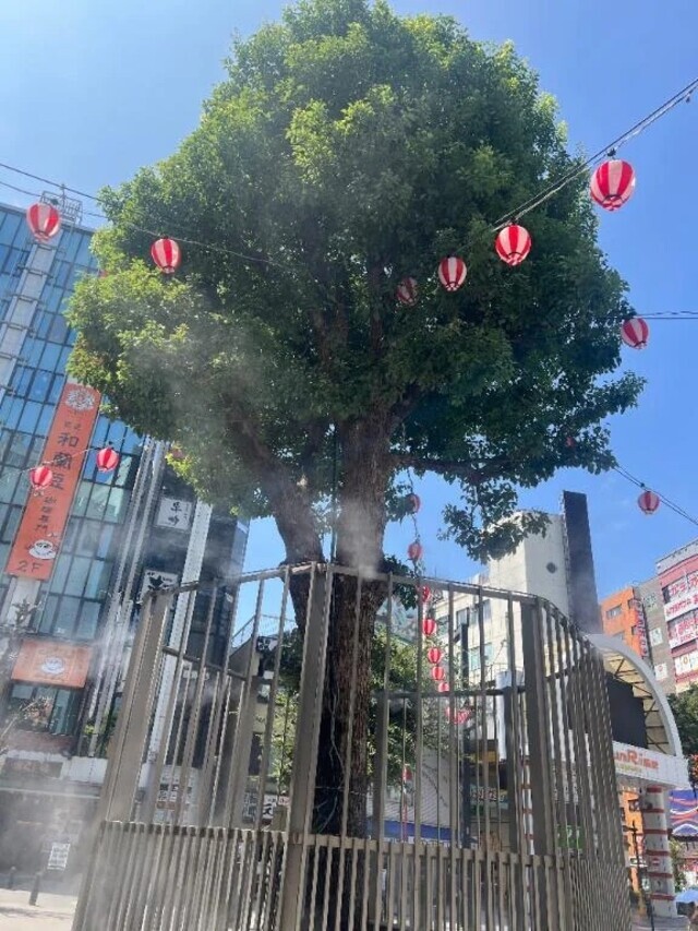 ありがとうねい(o^^o)｜写メ日記｜ねい｜品川・五反田 一般デリヘル 熟女の風俗最終章 品川店