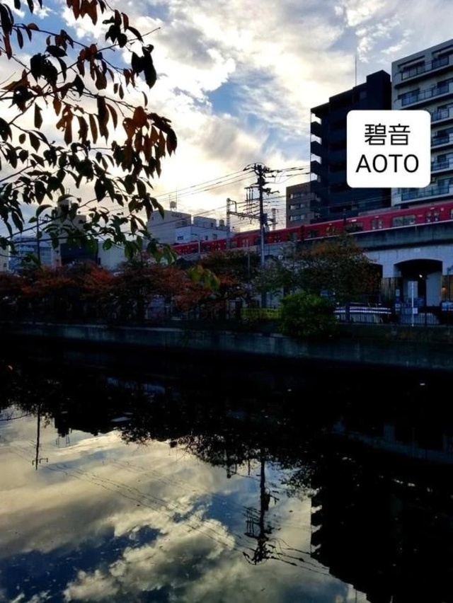 碧音/あおと/AOTO｜写メ日記｜あむ｜品川・五反田 一般デリヘル 熟女の風俗最終章 品川店