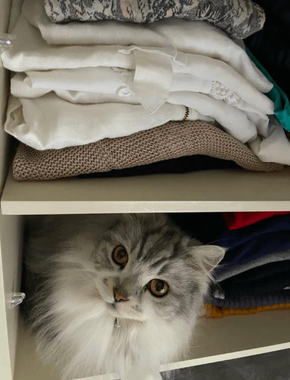 こんにちは｜写メ日記｜わかこ｜品川・五反田 一般デリヘル 熟女の風俗最終章 品川店