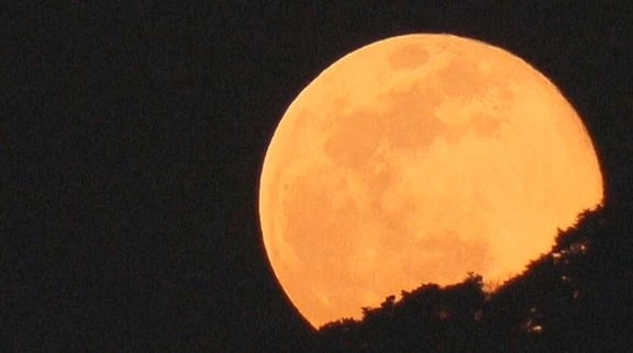 有難う御座いました。｜写メ日記｜わかこ｜品川・五反田 一般デリヘル 熟女の風俗最終章 品川店