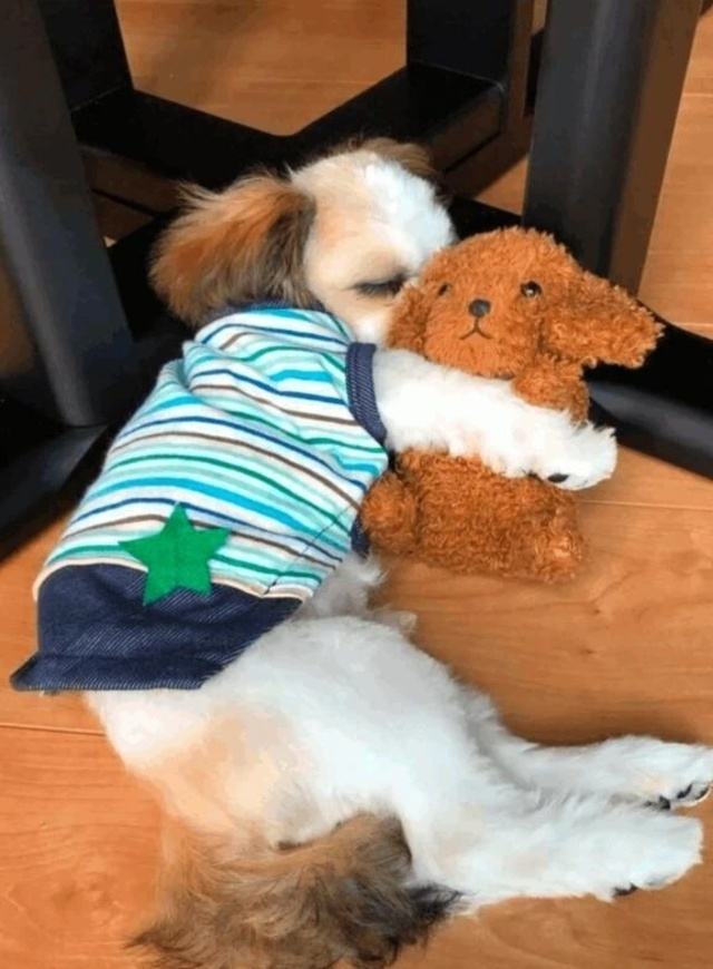 29日(土)出勤1番｜写メ日記｜わかこ｜品川・五反田 一般デリヘル 熟女の風俗最終章 品川店