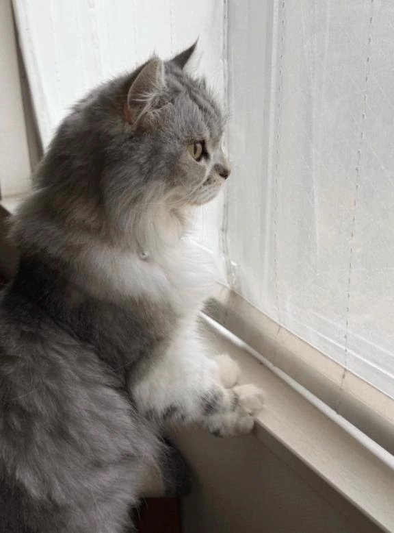 有難う御座いました。｜写メ日記｜わかこ｜品川・五反田 一般デリヘル 熟女の風俗最終章 品川店