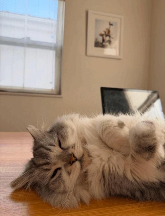 有難う御座いました。｜写メ日記｜わかこ｜品川・五反田 一般デリヘル 熟女の風俗最終章 品川店