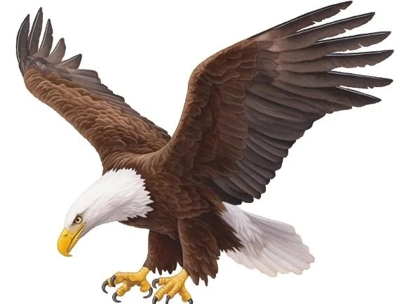 やっぱりカッコいい♡