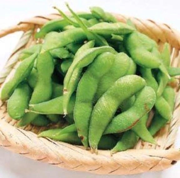 なるみ温泉明日営業！