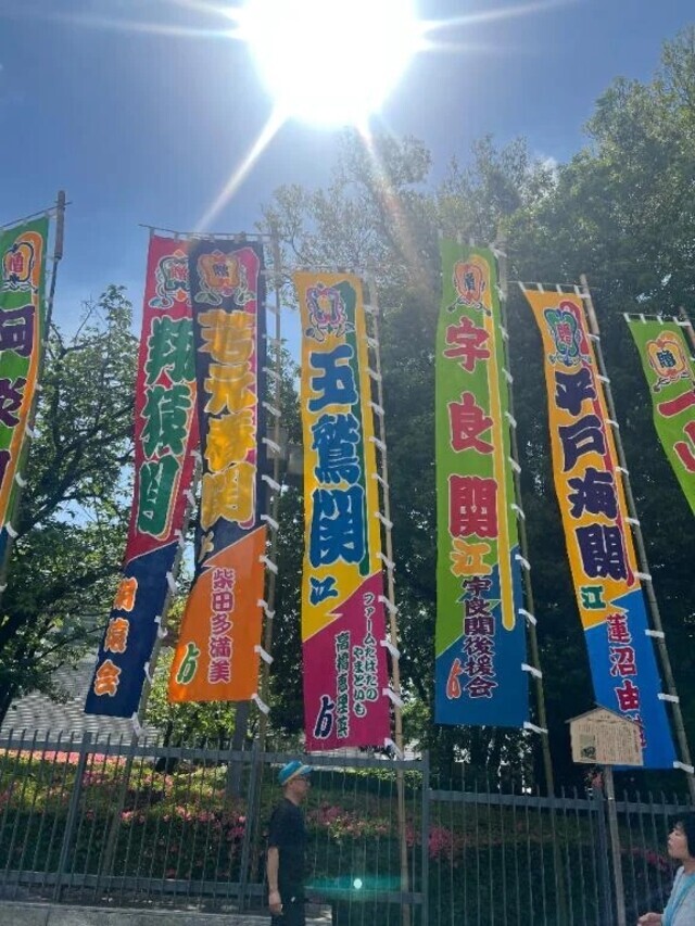 大相撲五月場所 Part 1｜写メ日記｜なるみ｜品川・五反田 一般デリヘル 熟女の風俗最終章 品川店