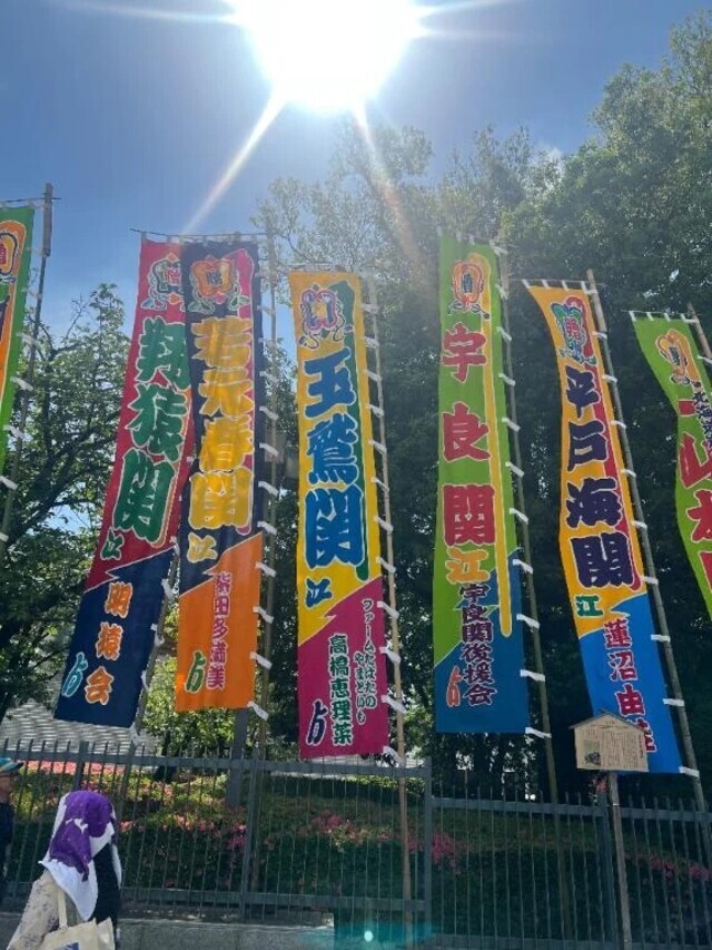 大相撲五月場所 Part 2｜写メ日記｜なるみ｜品川・五反田 一般デリヘル 熟女の風俗最終章 品川店