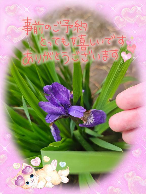 初めて様。U様。😊ありがとうございます。🍀｜写メ日記｜みゆ｜品川・五反田 一般デリヘル 熟女の風俗最終章 品川店