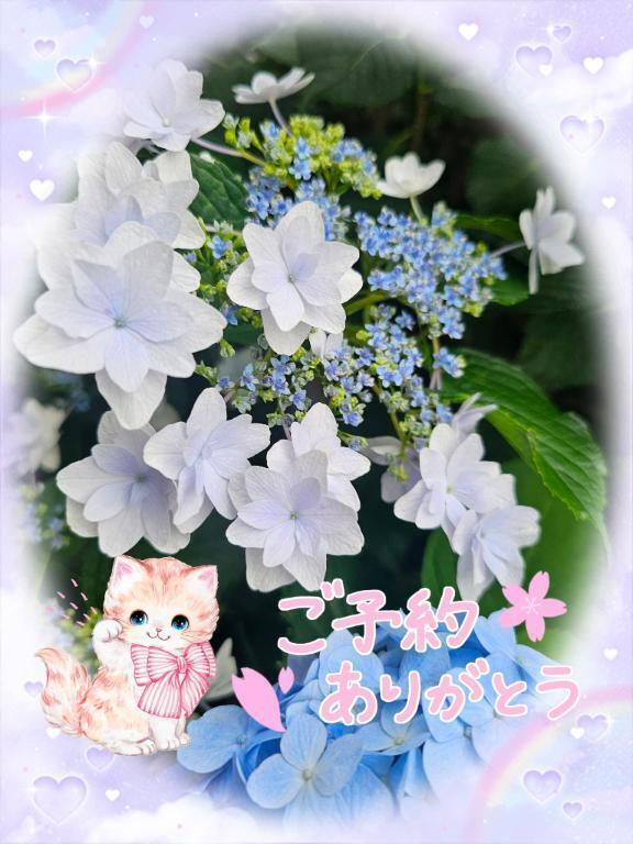 ご本指名様。H様。😊ありがとうございます。🍀｜写メ日記｜みゆ｜品川・五反田 一般デリヘル 熟女の風俗最終章 品川店