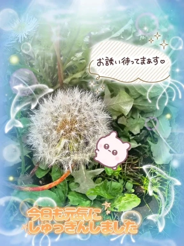 出勤いたしました。🍀｜写メ日記｜みゆ｜品川・五反田 一般デリヘル 熟女の風俗最終章 品川店