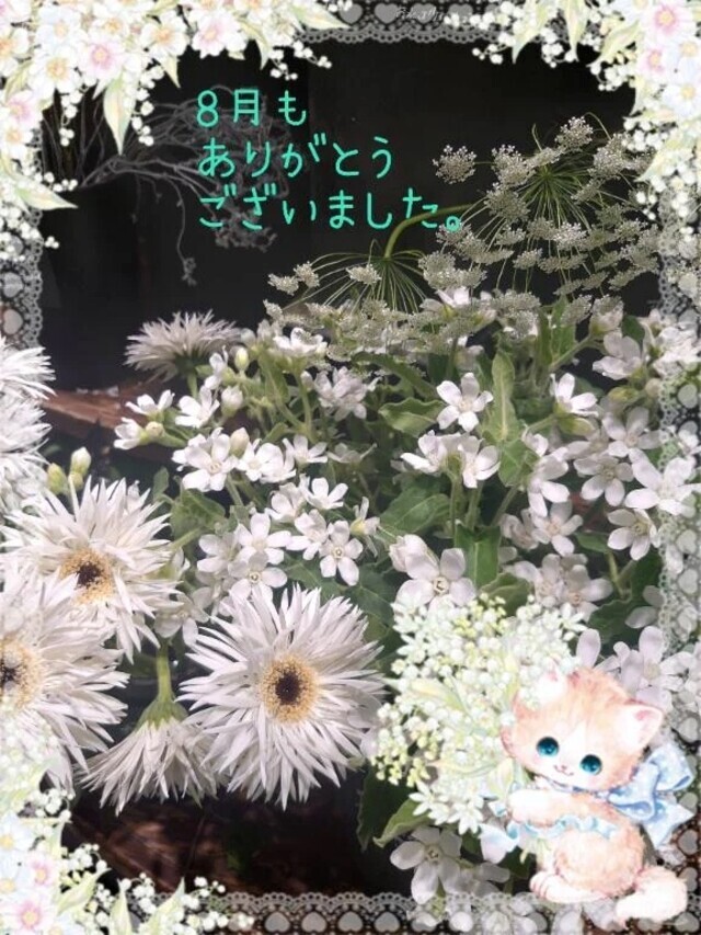 8月も、ありがとうございました。🍀｜写メ日記｜みゆ｜品川・五反田 一般デリヘル 熟女の風俗最終章 品川店