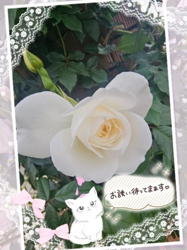 これから出勤いたします。🍀