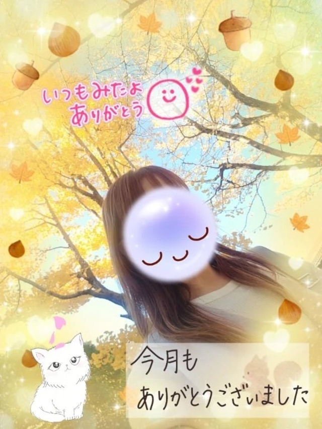 11月も、ありがとうございました。🍀