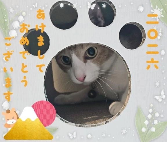 明けましておめでとうございます。🎍