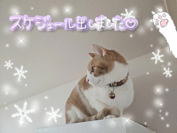 出勤が決まりました。🍀