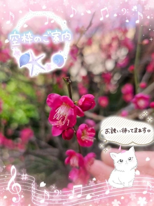 これから出勤いたします。🍀｜写メ日記｜みゆ｜品川・五反田 一般デリヘル 熟女の風俗最終章 品川店