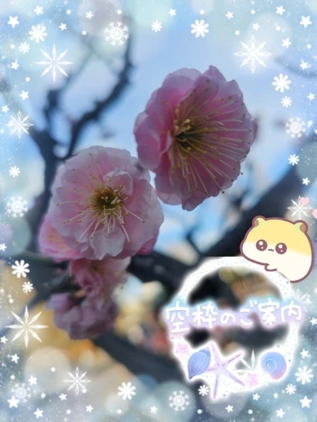 これから出勤いたします。🍀｜写メ日記｜みゆ｜品川・五反田 一般デリヘル 熟女の風俗最終章 品川店