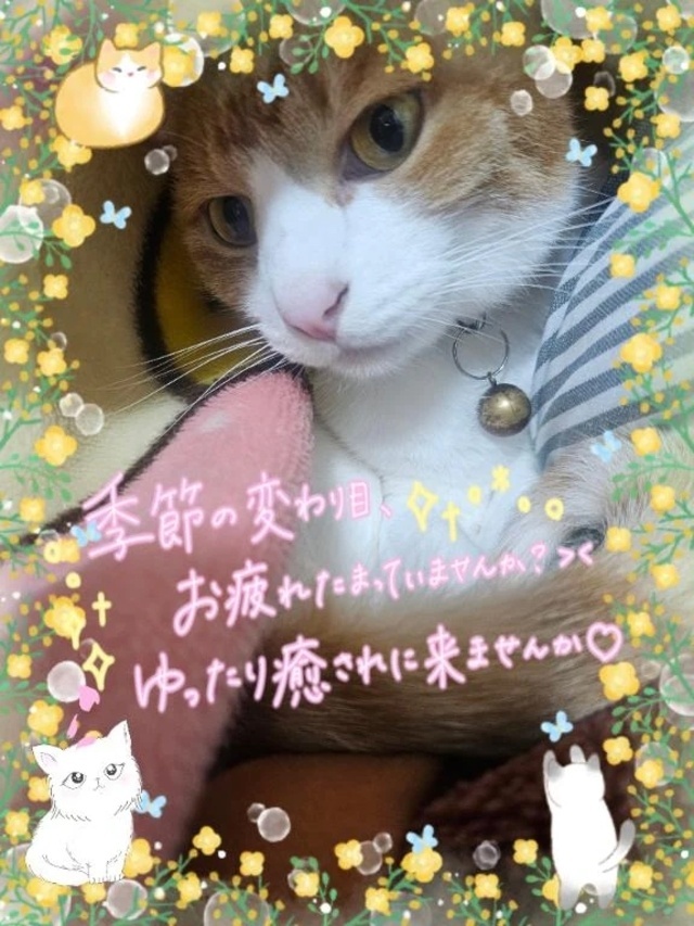 これから出勤いたします。🍀｜写メ日記｜みゆ｜品川・五反田 一般デリヘル 熟女の風俗最終章 品川店