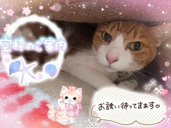 これから出勤いたします。🍀｜写メ日記｜みゆ｜品川・五反田 一般デリヘル 熟女の風俗最終章 品川店