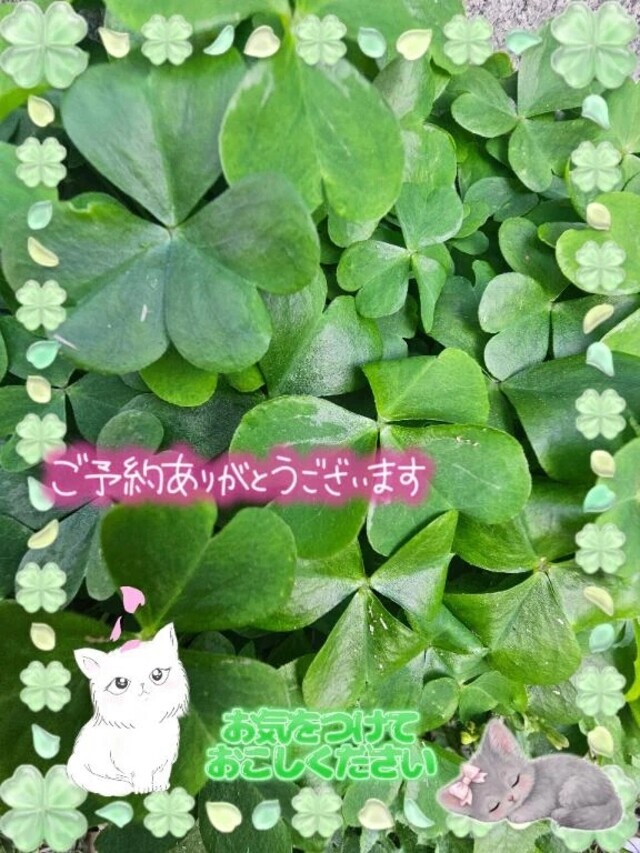 初めて様。S様。😊ありがとうございます。🍀｜写メ日記｜みゆ｜品川・五反田 一般デリヘル 熟女の風俗最終章 品川店