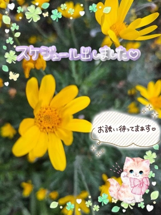 出勤のお知らせです。🍀