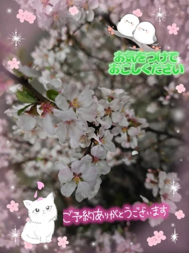 ご新規様。Y様。😊ありがとうございます。🍀