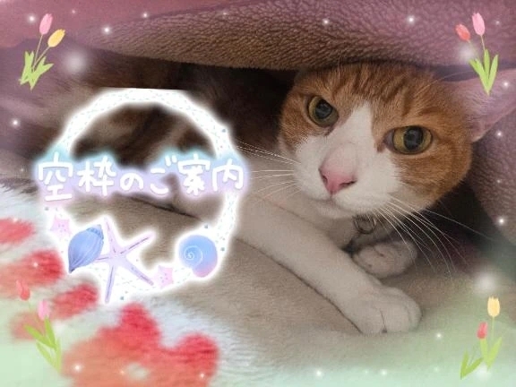 これから出勤いたします。🍀