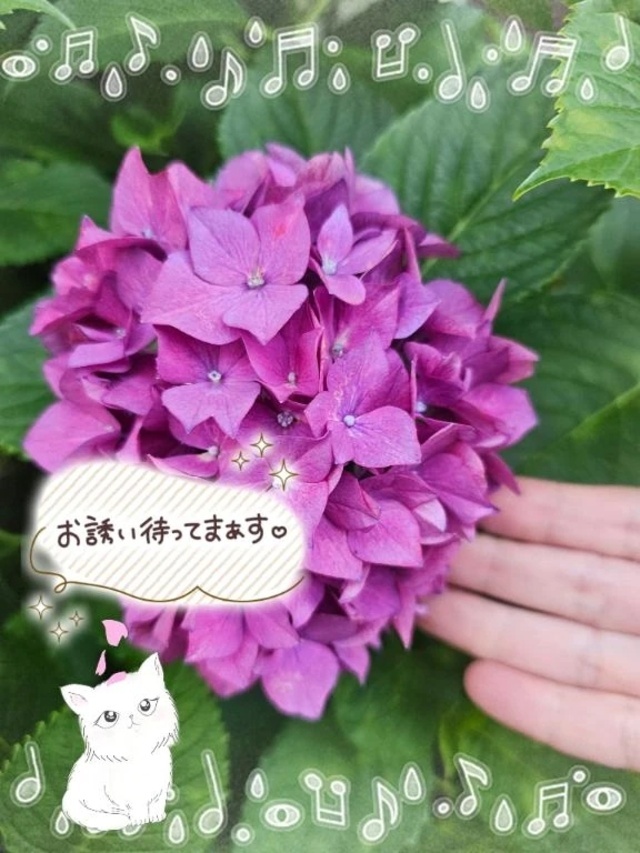 これから、出勤いたします。🍀｜写メ日記｜みゆ｜品川・五反田 一般デリヘル 熟女の風俗最終章 品川店