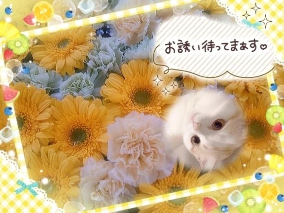 これから出勤いたします。🍀