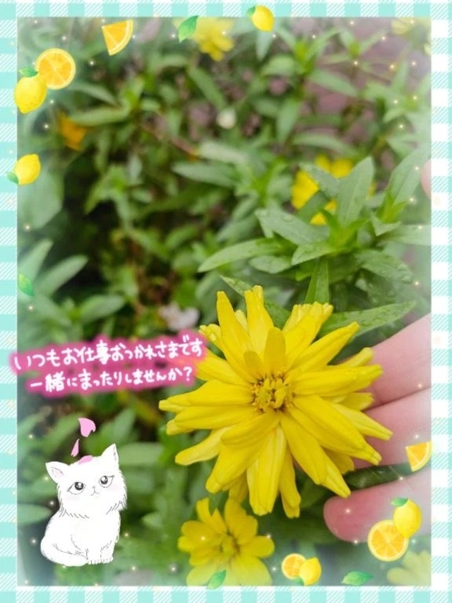 これから出勤いたします。🍀