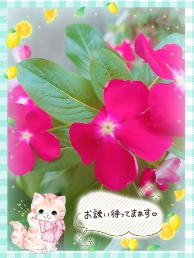 これから出勤いたします。🍀