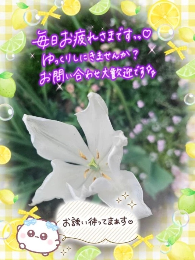 これから出勤いたします。🍀｜写メ日記｜みゆ｜品川・五反田 一般デリヘル 熟女の風俗最終章 品川店