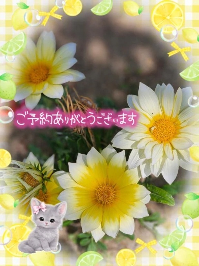初めて様。K様。😊ありがとうございます。🍀｜写メ日記｜みゆ｜品川・五反田 一般デリヘル 熟女の風俗最終章 品川店