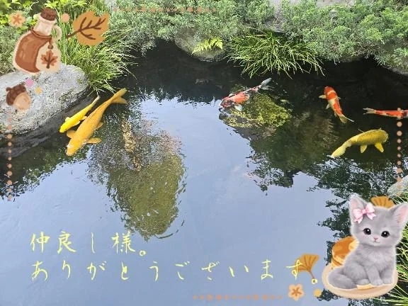 ご本指名様。S様。😊ありがとうございます。🍀