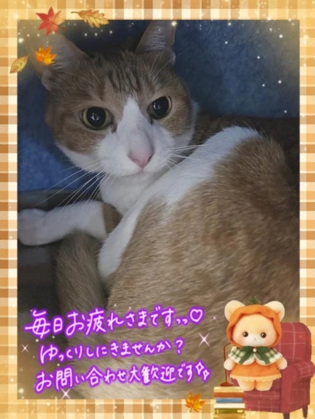これから出勤いたします。🍀｜写メ日記｜みゆ｜品川・五反田 一般デリヘル 熟女の風俗最終章 品川店