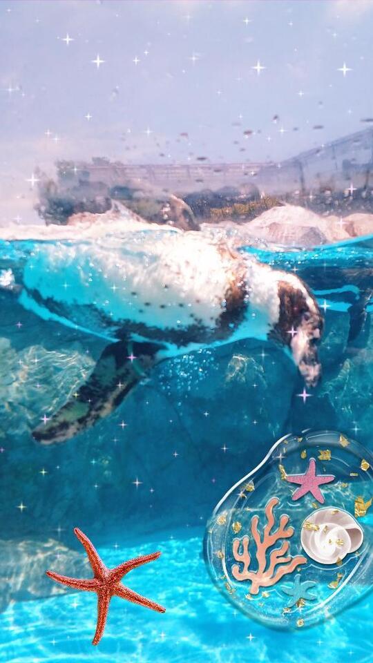 朝から暑い☀️😵💦ですねぇ～～今月は❔🌊｜写メ日記｜せりか｜品川・五反田 一般デリヘル 熟女の風俗最終章 品川店