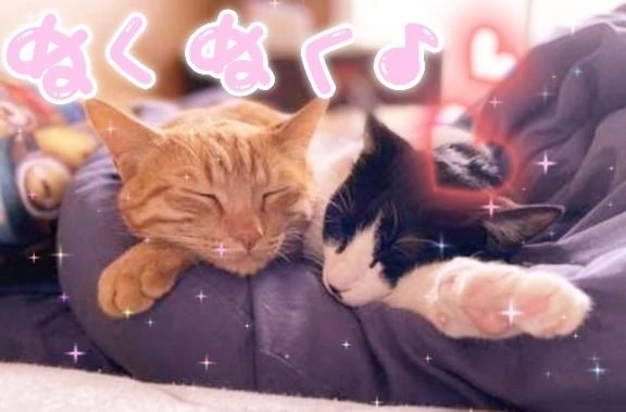 今日は、☔だし寒かったですねぇ😞💦｜写メ日記｜せりか｜品川・五反田 一般デリヘル 熟女の風俗最終章 品川店