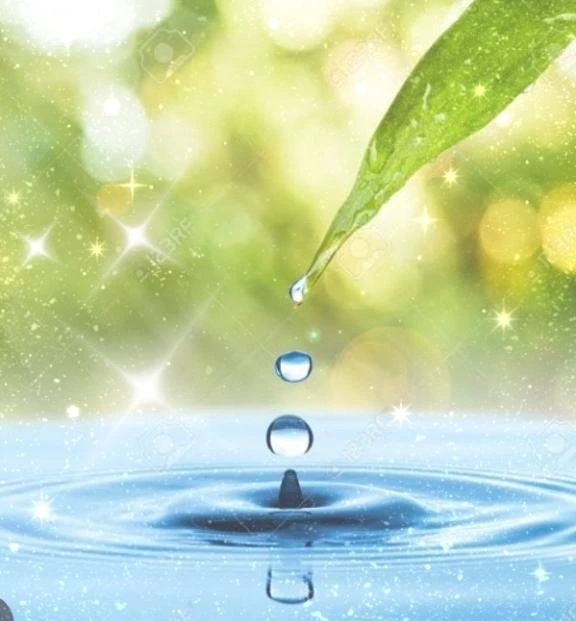 今なら直ぐに逢えますよ❗💋｜写メ日記｜せりか｜品川・五反田 一般デリヘル 熟女の風俗最終章 品川店