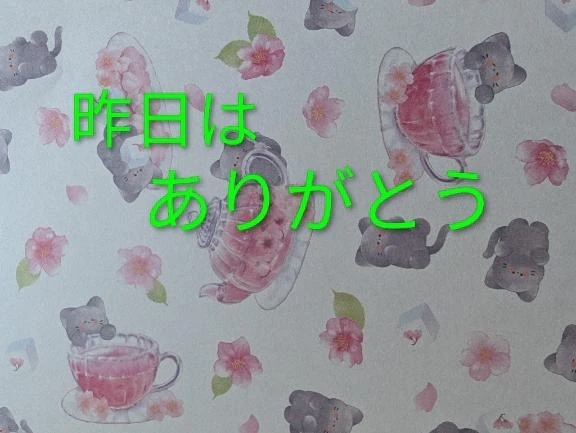 賑やかでした🥳｜写メ日記｜あいみ｜品川・五反田 一般デリヘル 熟女の風俗最終章 品川店