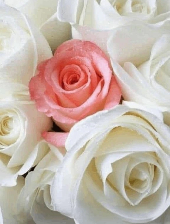 御指名、ありがとう御座いました。