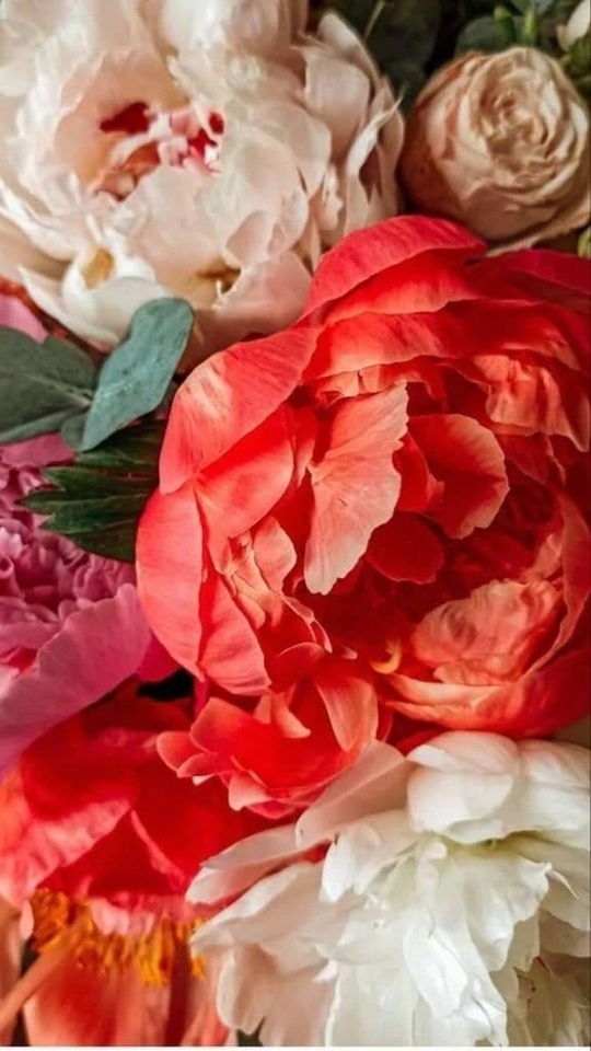 ありがとう御座いました。｜写メ日記｜ゆの｜品川・五反田 一般デリヘル 熟女の風俗最終章 品川店